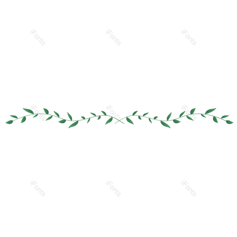叶子图片,分隔线元素,藤蔓PNG,小清新免抠素材